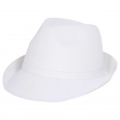 Witte hoed Popstar