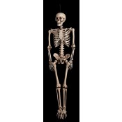Hangend Skelet groot, 160 cm